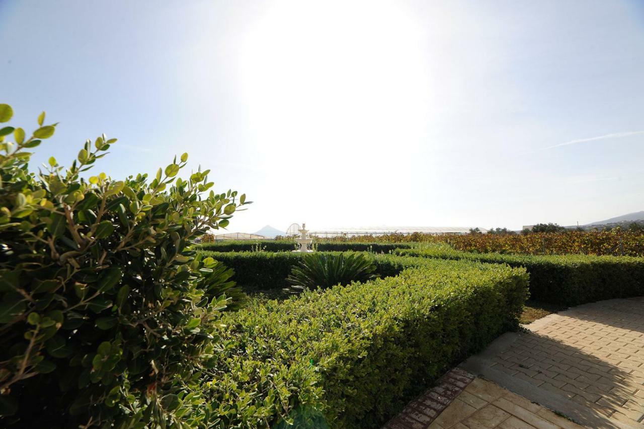 Villa Busho เนาซา ภายนอก รูปภาพ